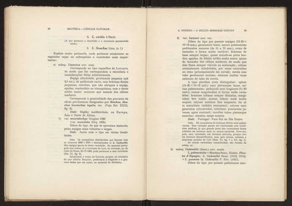 Aseco stoechas gingins, do gnero Lavandula Linn. 36