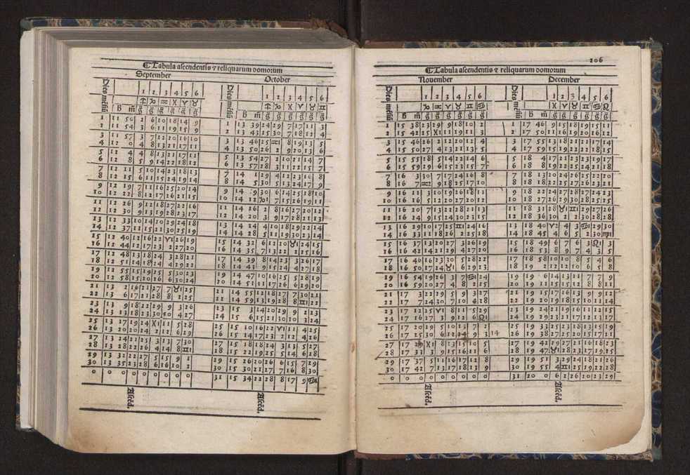 [Almanach perpetuum sive tacuinus, Ephemerides z diarium Abrami zacutti hebrei. Theoremata autem Joannis Michaelis germani ...] 199