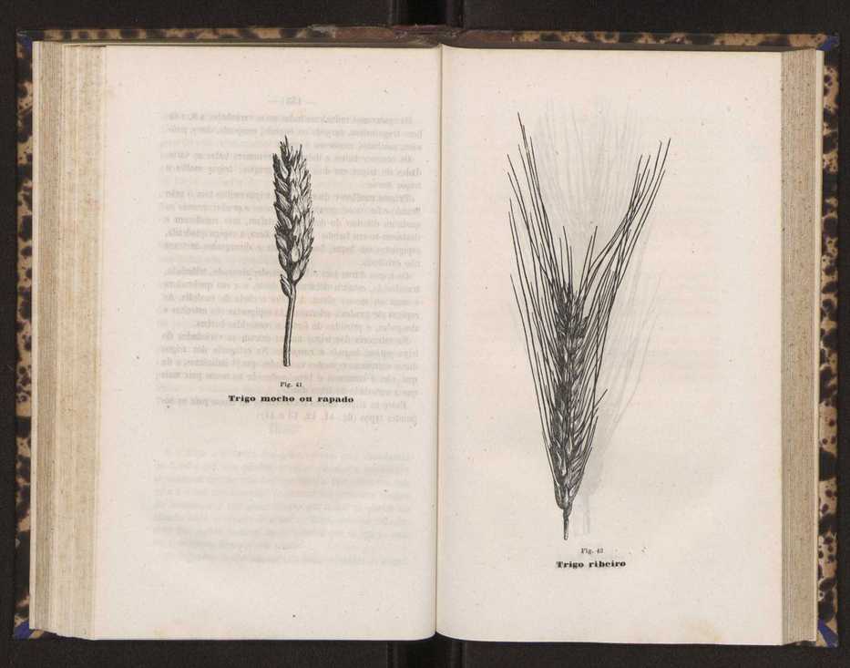 Artes chimicas, agricolas e florestaes ou technologia rural. Vol. 2 80