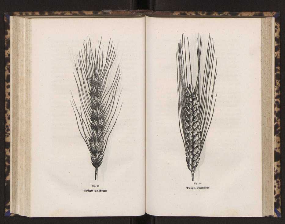 Artes chimicas, agricolas e florestaes ou technologia rural. Vol. 2 81