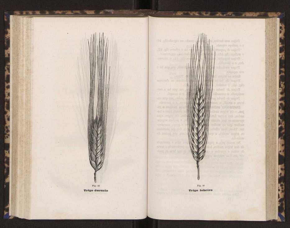 Artes chimicas, agricolas e florestaes ou technologia rural. Vol. 2 82