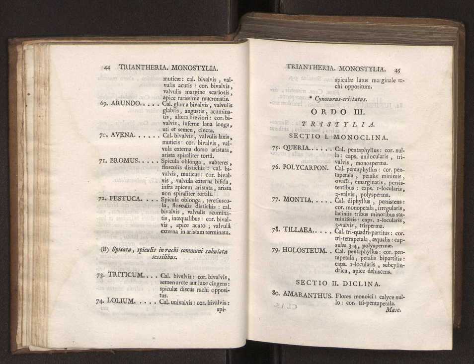 Felicis Avellar Broteri ... Flora Lusitanica, seu plantarum, quae in Lusitania vel sponte crescunt, vel frequentius colunter, ex florum praesertim sexubus systematice distributarum, synopsis. Vol. 1 33