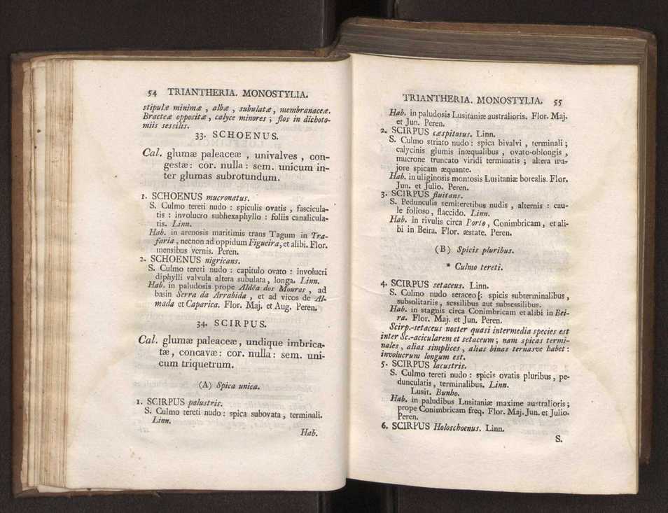 Felicis Avellar Broteri ... Flora Lusitanica, seu plantarum, quae in Lusitania vel sponte crescunt, vel frequentius colunter, ex florum praesertim sexubus systematice distributarum, synopsis. Vol. 1 38