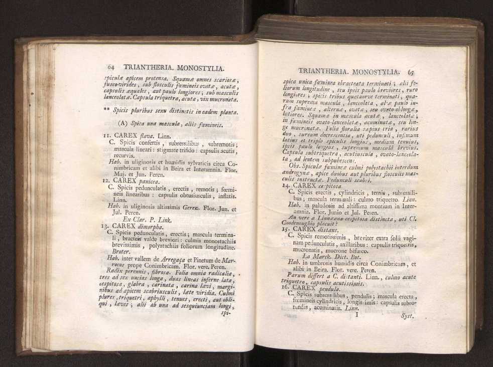 Felicis Avellar Broteri ... Flora Lusitanica, seu plantarum, quae in Lusitania vel sponte crescunt, vel frequentius colunter, ex florum praesertim sexubus systematice distributarum, synopsis. Vol. 1 43