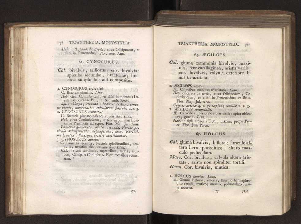 Felicis Avellar Broteri ... Flora Lusitanica, seu plantarum, quae in Lusitania vel sponte crescunt, vel frequentius colunter, ex florum praesertim sexubus systematice distributarum, synopsis. Vol. 1 59