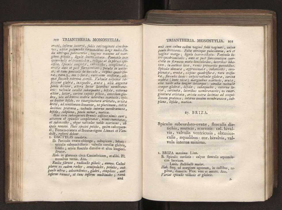 Felicis Avellar Broteri ... Flora Lusitanica, seu plantarum, quae in Lusitania vel sponte crescunt, vel frequentius colunter, ex florum praesertim sexubus systematice distributarum, synopsis. Vol. 1 61