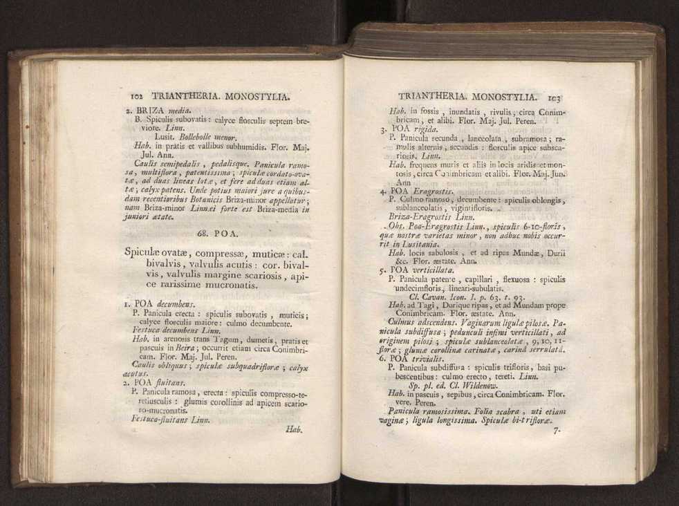 Felicis Avellar Broteri ... Flora Lusitanica, seu plantarum, quae in Lusitania vel sponte crescunt, vel frequentius colunter, ex florum praesertim sexubus systematice distributarum, synopsis. Vol. 1 62