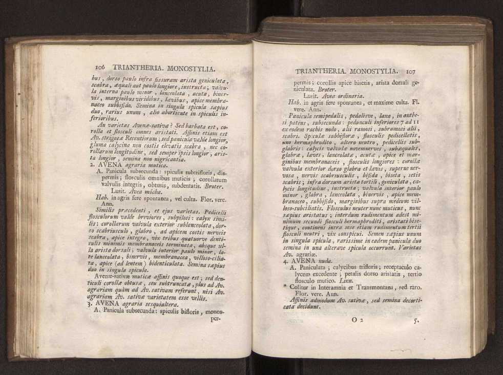 Felicis Avellar Broteri ... Flora Lusitanica, seu plantarum, quae in Lusitania vel sponte crescunt, vel frequentius colunter, ex florum praesertim sexubus systematice distributarum, synopsis. Vol. 1 64