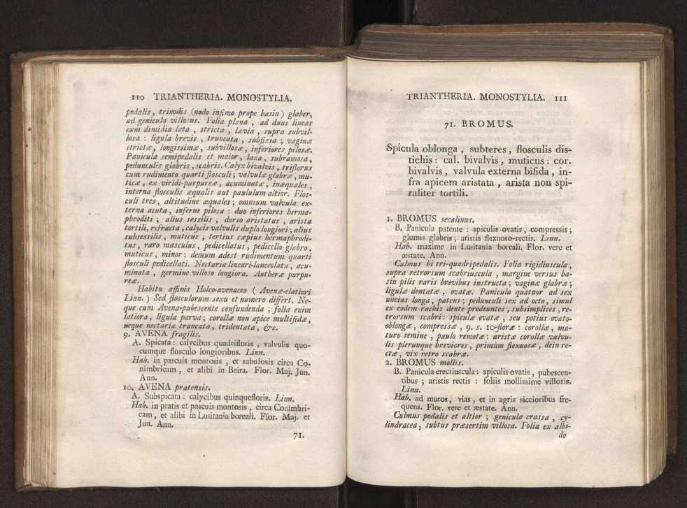 Felicis Avellar Broteri ... Flora Lusitanica, seu plantarum, quae in Lusitania vel sponte crescunt, vel frequentius colunter, ex florum praesertim sexubus systematice distributarum, synopsis. Vol. 1 66