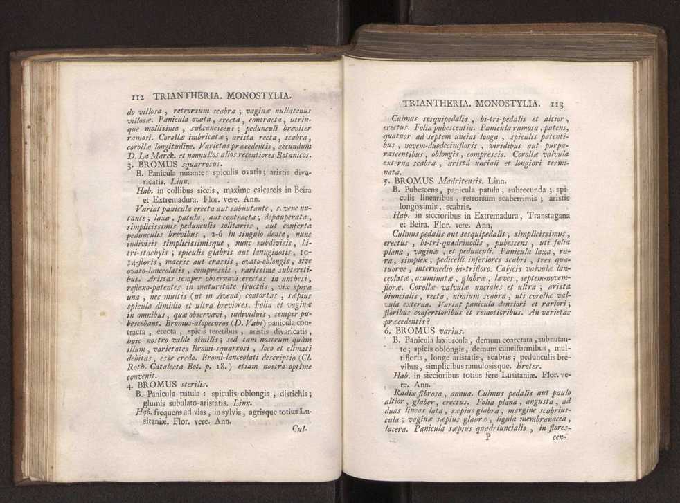 Felicis Avellar Broteri ... Flora Lusitanica, seu plantarum, quae in Lusitania vel sponte crescunt, vel frequentius colunter, ex florum praesertim sexubus systematice distributarum, synopsis. Vol. 1 67