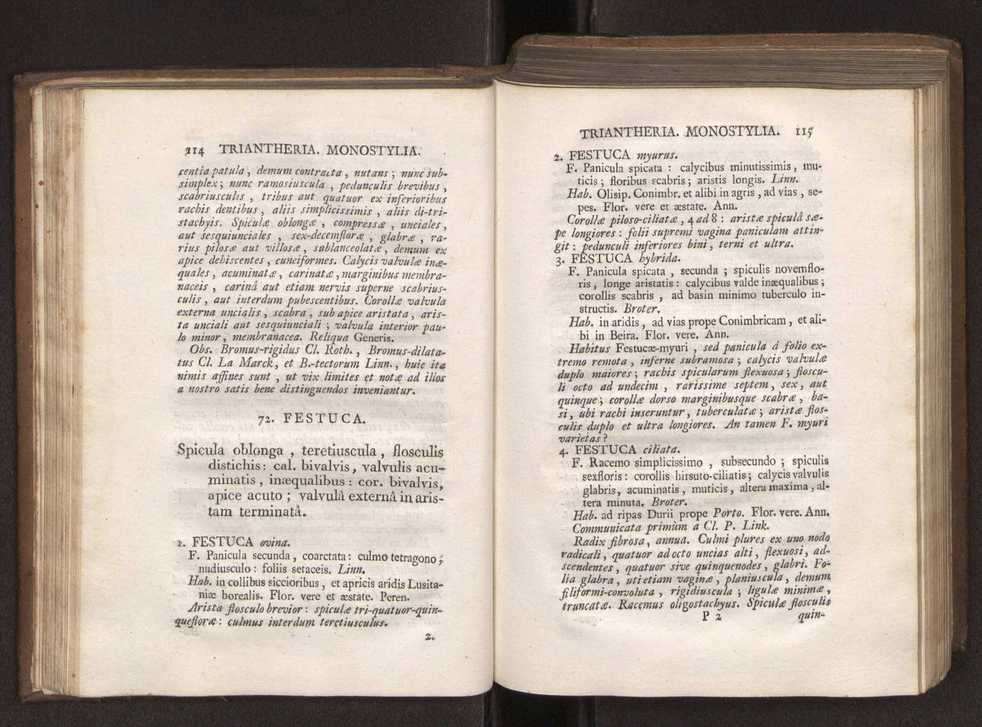 Felicis Avellar Broteri ... Flora Lusitanica, seu plantarum, quae in Lusitania vel sponte crescunt, vel frequentius colunter, ex florum praesertim sexubus systematice distributarum, synopsis. Vol. 1 68