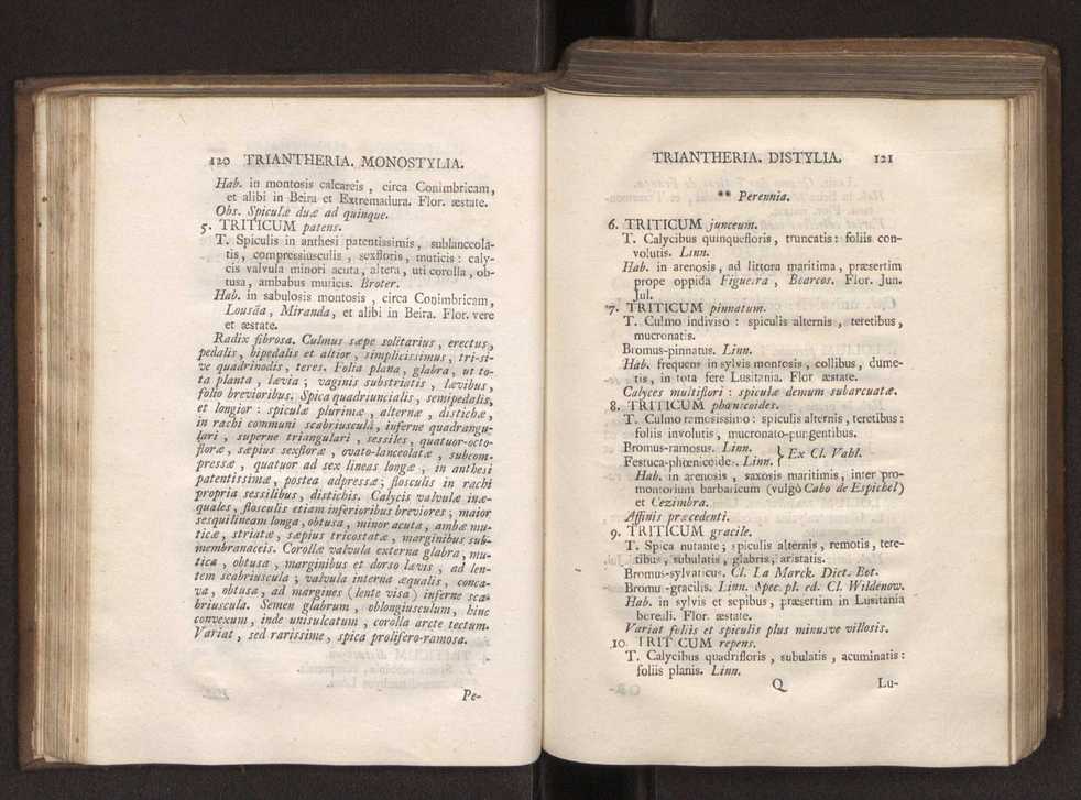 Felicis Avellar Broteri ... Flora Lusitanica, seu plantarum, quae in Lusitania vel sponte crescunt, vel frequentius colunter, ex florum praesertim sexubus systematice distributarum, synopsis. Vol. 1 71