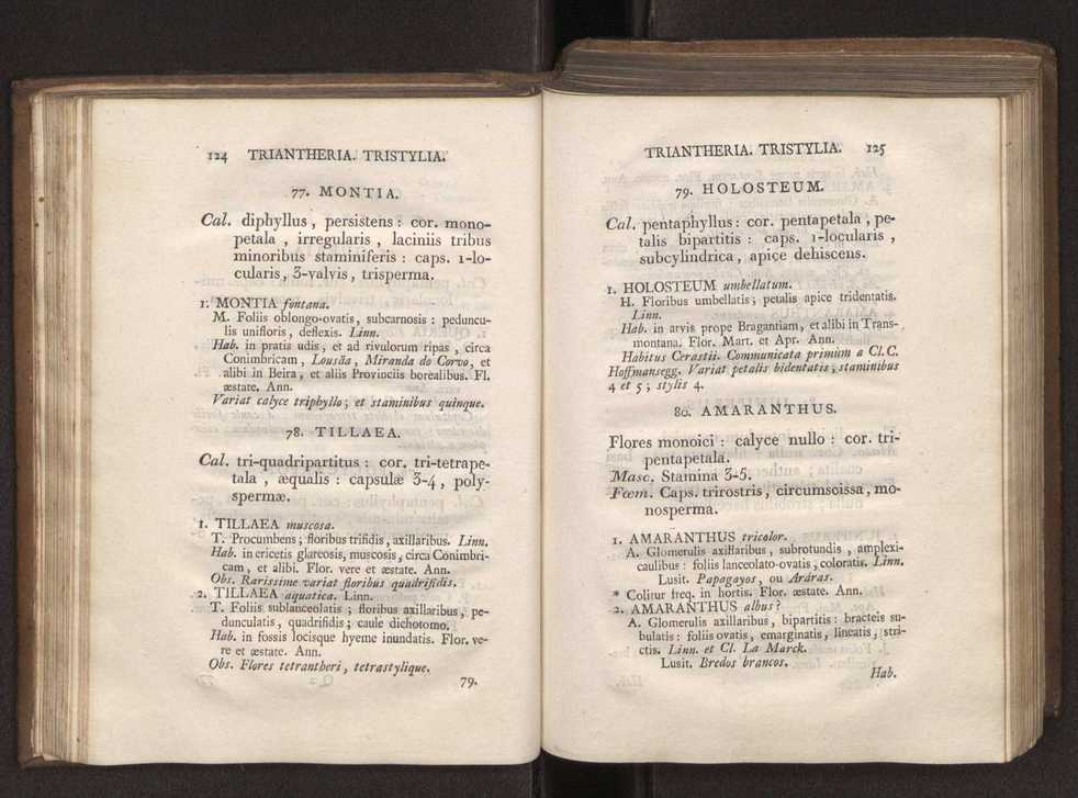 Felicis Avellar Broteri ... Flora Lusitanica, seu plantarum, quae in Lusitania vel sponte crescunt, vel frequentius colunter, ex florum praesertim sexubus systematice distributarum, synopsis. Vol. 1 73