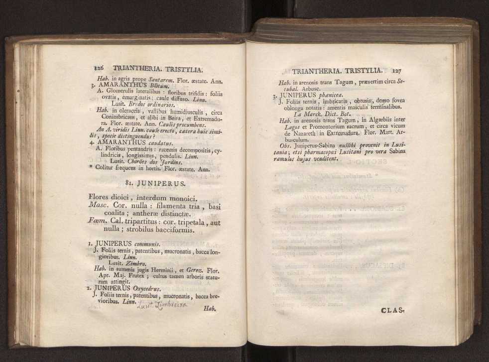Felicis Avellar Broteri ... Flora Lusitanica, seu plantarum, quae in Lusitania vel sponte crescunt, vel frequentius colunter, ex florum praesertim sexubus systematice distributarum, synopsis. Vol. 1 74