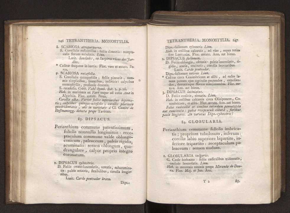 Felicis Avellar Broteri ... Flora Lusitanica, seu plantarum, quae in Lusitania vel sponte crescunt, vel frequentius colunter, ex florum praesertim sexubus systematice distributarum, synopsis. Vol. 1 84