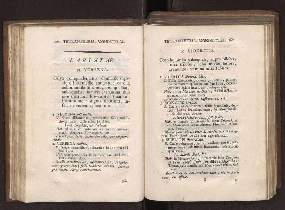 Felicis Avellar Broteri ... Flora Lusitanica, seu plantarum, quae in Lusitania vel sponte crescunt, vel frequentius colunter, ex florum praesertim sexubus systematice distributarum, synopsis. Vol. 1 91