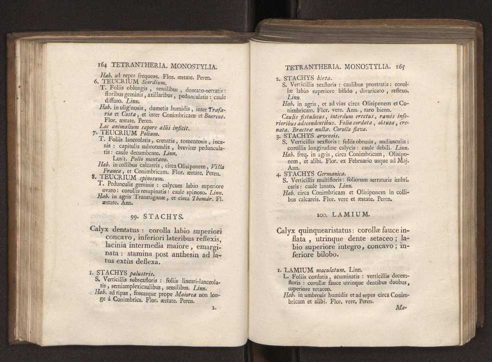 Felicis Avellar Broteri ... Flora Lusitanica, seu plantarum, quae in Lusitania vel sponte crescunt, vel frequentius colunter, ex florum praesertim sexubus systematice distributarum, synopsis. Vol. 1 93