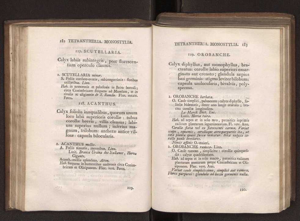 Felicis Avellar Broteri ... Flora Lusitanica, seu plantarum, quae in Lusitania vel sponte crescunt, vel frequentius colunter, ex florum praesertim sexubus systematice distributarum, synopsis. Vol. 1 102