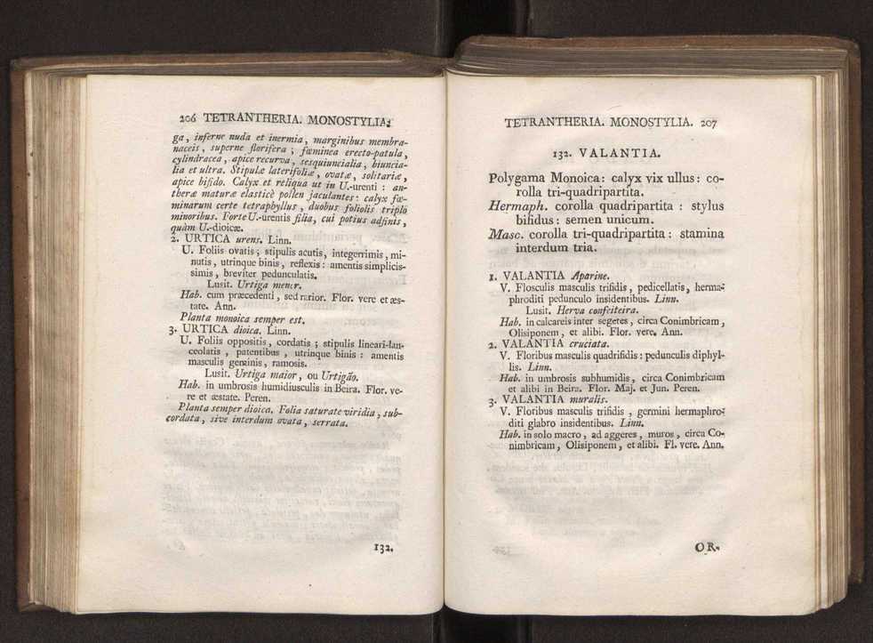 Felicis Avellar Broteri ... Flora Lusitanica, seu plantarum, quae in Lusitania vel sponte crescunt, vel frequentius colunter, ex florum praesertim sexubus systematice distributarum, synopsis. Vol. 1 114