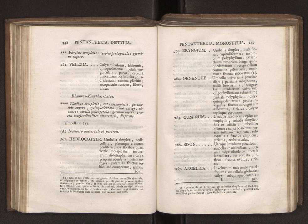 Felicis Avellar Broteri ... Flora Lusitanica, seu plantarum, quae in Lusitania vel sponte crescunt, vel frequentius colunter, ex florum praesertim sexubus systematice distributarum, synopsis. Vol. 1 135