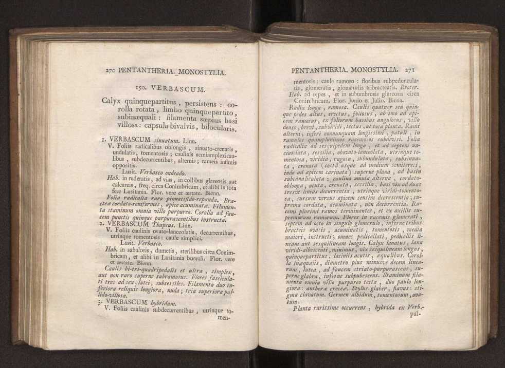 Felicis Avellar Broteri ... Flora Lusitanica, seu plantarum, quae in Lusitania vel sponte crescunt, vel frequentius colunter, ex florum praesertim sexubus systematice distributarum, synopsis. Vol. 1 146