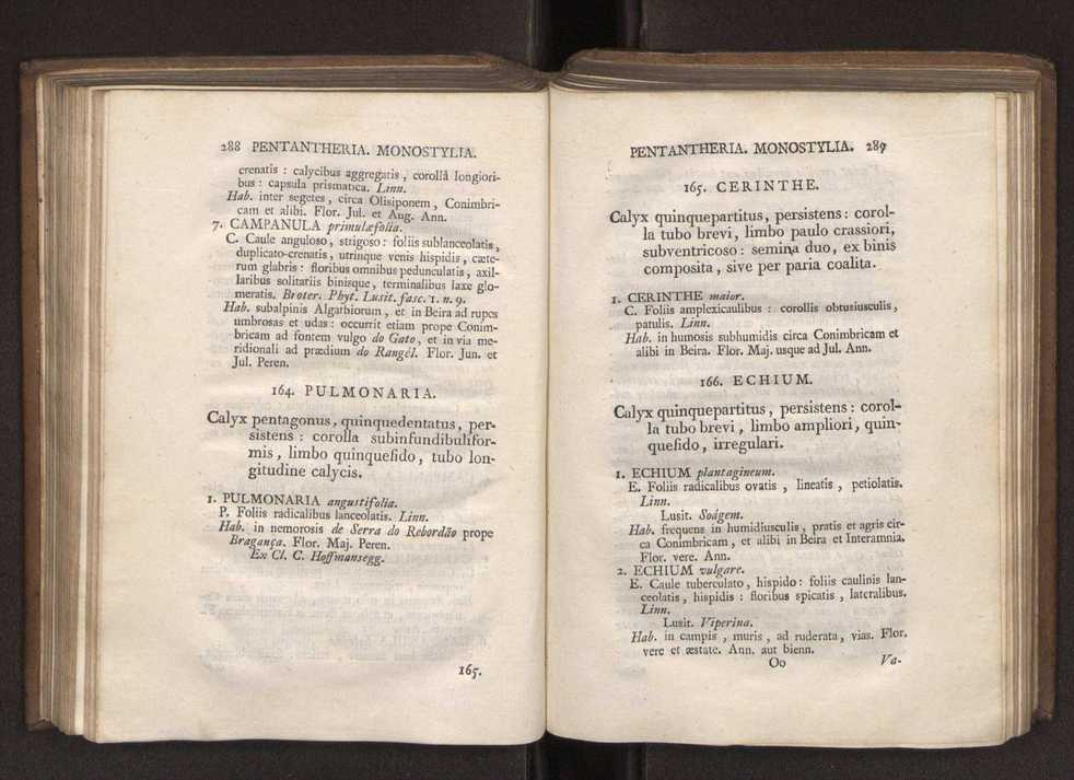 Felicis Avellar Broteri ... Flora Lusitanica, seu plantarum, quae in Lusitania vel sponte crescunt, vel frequentius colunter, ex florum praesertim sexubus systematice distributarum, synopsis. Vol. 1 155