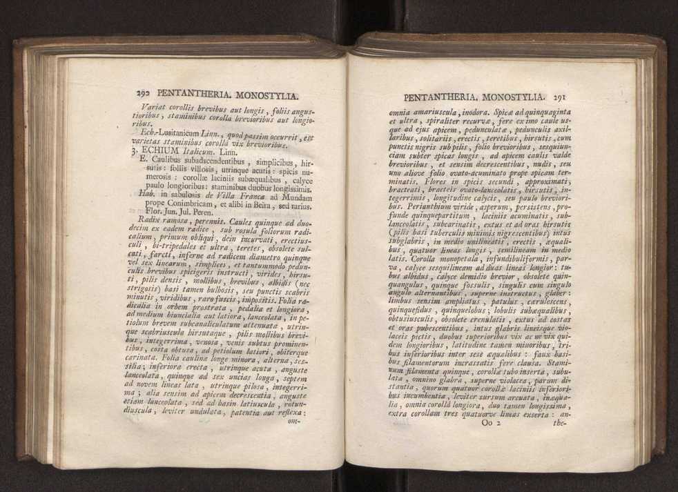 Felicis Avellar Broteri ... Flora Lusitanica, seu plantarum, quae in Lusitania vel sponte crescunt, vel frequentius colunter, ex florum praesertim sexubus systematice distributarum, synopsis. Vol. 1 156