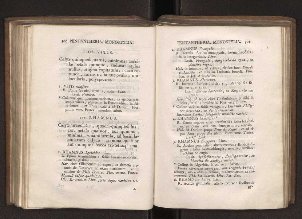 Felicis Avellar Broteri ... Flora Lusitanica, seu plantarum, quae in Lusitania vel sponte crescunt, vel frequentius colunter, ex florum praesertim sexubus systematice distributarum, synopsis. Vol. 1 161