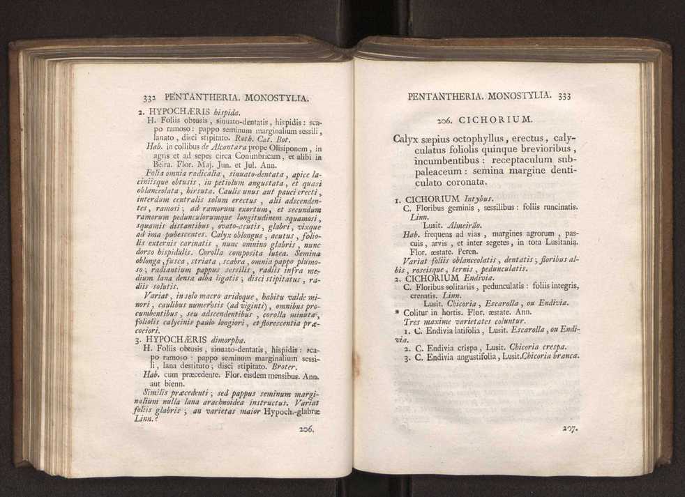 Felicis Avellar Broteri ... Flora Lusitanica, seu plantarum, quae in Lusitania vel sponte crescunt, vel frequentius colunter, ex florum praesertim sexubus systematice distributarum, synopsis. Vol. 1 177