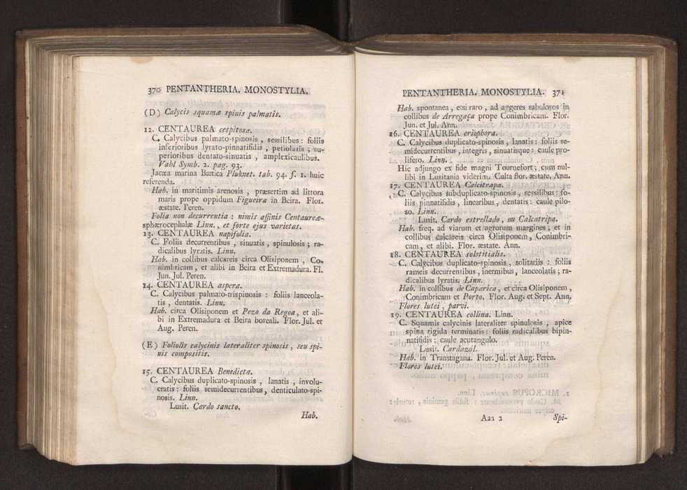 Felicis Avellar Broteri ... Flora Lusitanica, seu plantarum, quae in Lusitania vel sponte crescunt, vel frequentius colunter, ex florum praesertim sexubus systematice distributarum, synopsis. Vol. 1 196