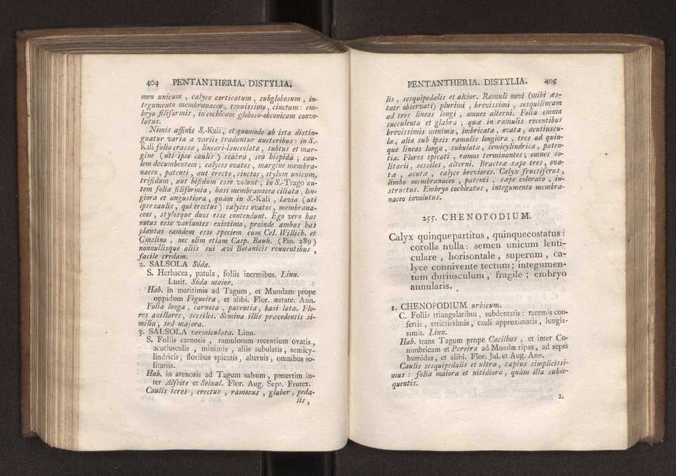 Felicis Avellar Broteri ... Flora Lusitanica, seu plantarum, quae in Lusitania vel sponte crescunt, vel frequentius colunter, ex florum praesertim sexubus systematice distributarum, synopsis. Vol. 1 213