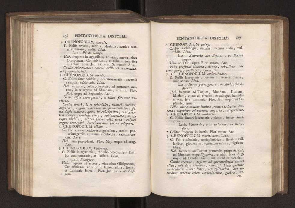 Felicis Avellar Broteri ... Flora Lusitanica, seu plantarum, quae in Lusitania vel sponte crescunt, vel frequentius colunter, ex florum praesertim sexubus systematice distributarum, synopsis. Vol. 1 214