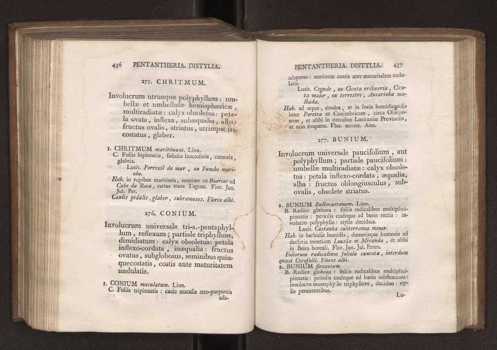 Felicis Avellar Broteri ... Flora Lusitanica, seu plantarum, quae in Lusitania vel sponte crescunt, vel frequentius colunter, ex florum praesertim sexubus systematice distributarum, synopsis. Vol. 1 229