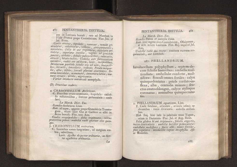 Felicis Avellar Broteri ... Flora Lusitanica, seu plantarum, quae in Lusitania vel sponte crescunt, vel frequentius colunter, ex florum praesertim sexubus systematice distributarum, synopsis. Vol. 1 241