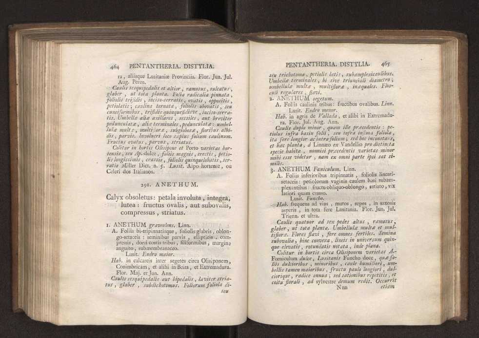 Felicis Avellar Broteri ... Flora Lusitanica, seu plantarum, quae in Lusitania vel sponte crescunt, vel frequentius colunter, ex florum praesertim sexubus systematice distributarum, synopsis. Vol. 1 243