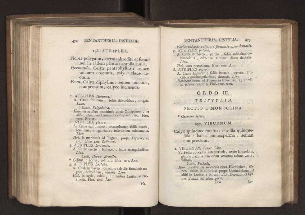 Felicis Avellar Broteri ... Flora Lusitanica, seu plantarum, quae in Lusitania vel sponte crescunt, vel frequentius colunter, ex florum praesertim sexubus systematice distributarum, synopsis. Vol. 1 247