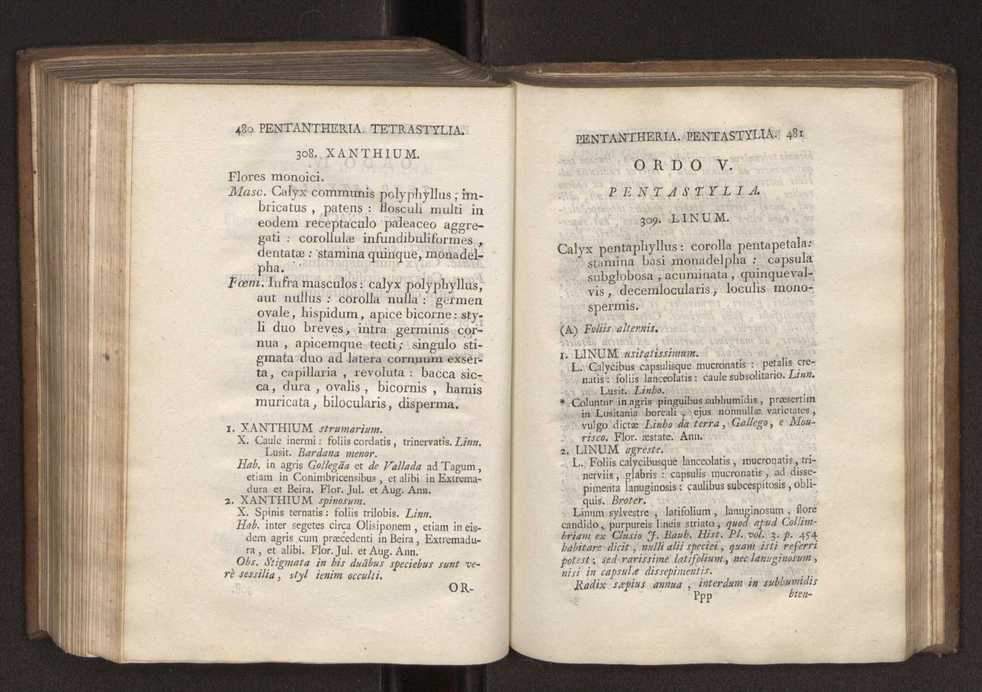 Felicis Avellar Broteri ... Flora Lusitanica, seu plantarum, quae in Lusitania vel sponte crescunt, vel frequentius colunter, ex florum praesertim sexubus systematice distributarum, synopsis. Vol. 1 251