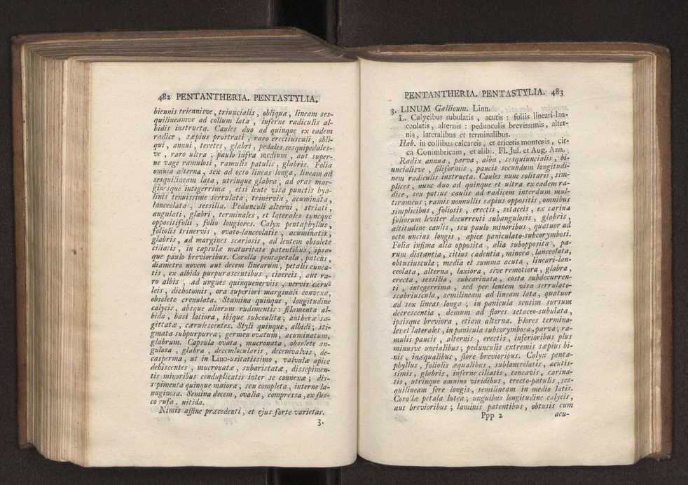 Felicis Avellar Broteri ... Flora Lusitanica, seu plantarum, quae in Lusitania vel sponte crescunt, vel frequentius colunter, ex florum praesertim sexubus systematice distributarum, synopsis. Vol. 1 252
