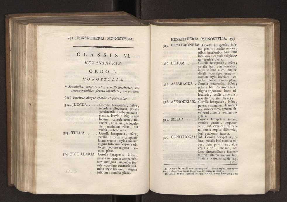Felicis Avellar Broteri ... Flora Lusitanica, seu plantarum, quae in Lusitania vel sponte crescunt, vel frequentius colunter, ex florum praesertim sexubus systematice distributarum, synopsis. Vol. 1 257