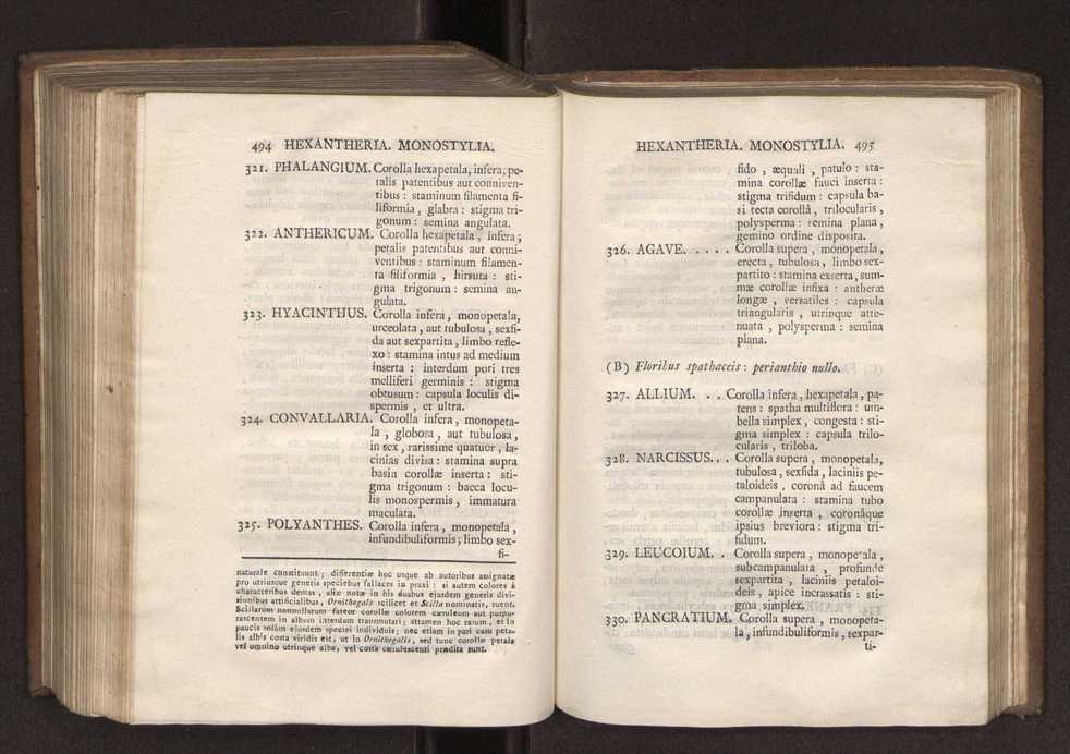 Felicis Avellar Broteri ... Flora Lusitanica, seu plantarum, quae in Lusitania vel sponte crescunt, vel frequentius colunter, ex florum praesertim sexubus systematice distributarum, synopsis. Vol. 1 258