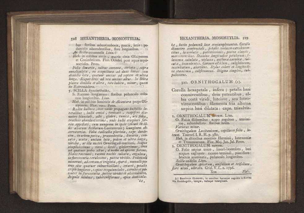 Felicis Avellar Broteri ... Flora Lusitanica, seu plantarum, quae in Lusitania vel sponte crescunt, vel frequentius colunter, ex florum praesertim sexubus systematice distributarum, synopsis. Vol. 1 275