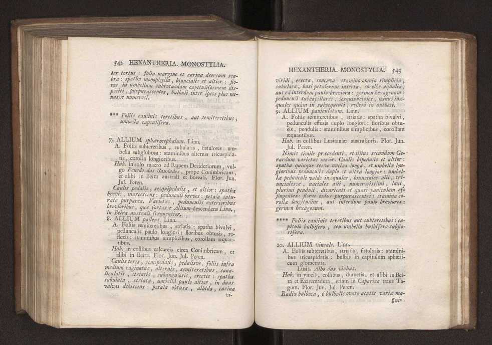 Felicis Avellar Broteri ... Flora Lusitanica, seu plantarum, quae in Lusitania vel sponte crescunt, vel frequentius colunter, ex florum praesertim sexubus systematice distributarum, synopsis. Vol. 1 282
