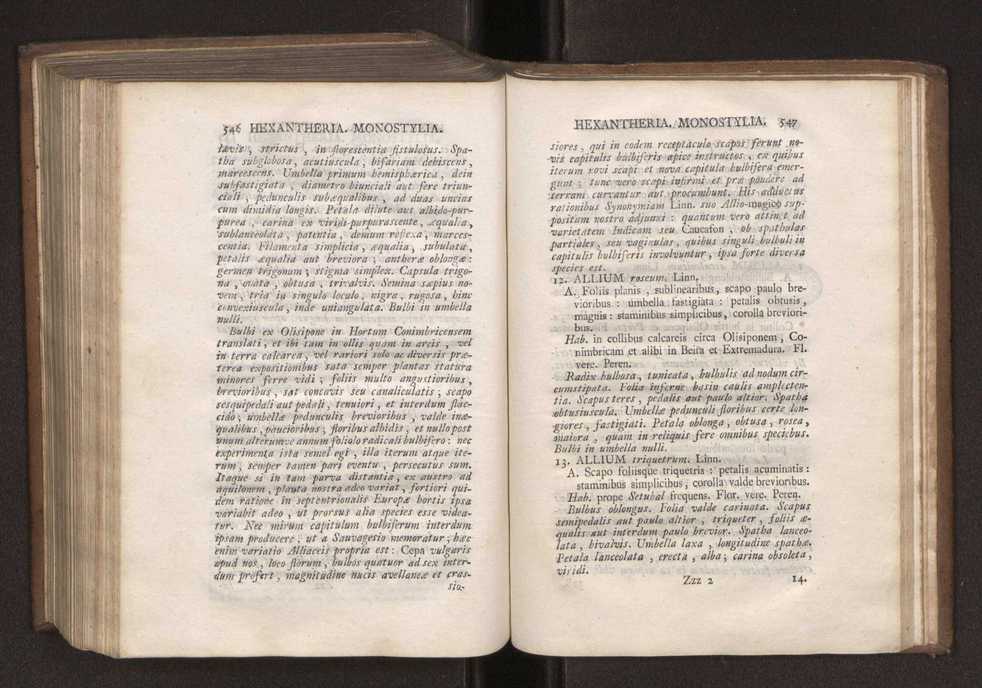 Felicis Avellar Broteri ... Flora Lusitanica, seu plantarum, quae in Lusitania vel sponte crescunt, vel frequentius colunter, ex florum praesertim sexubus systematice distributarum, synopsis. Vol. 1 284