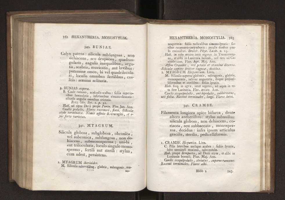 Felicis Avellar Broteri ... Flora Lusitanica, seu plantarum, quae in Lusitania vel sponte crescunt, vel frequentius colunter, ex florum praesertim sexubus systematice distributarum, synopsis. Vol. 1 292