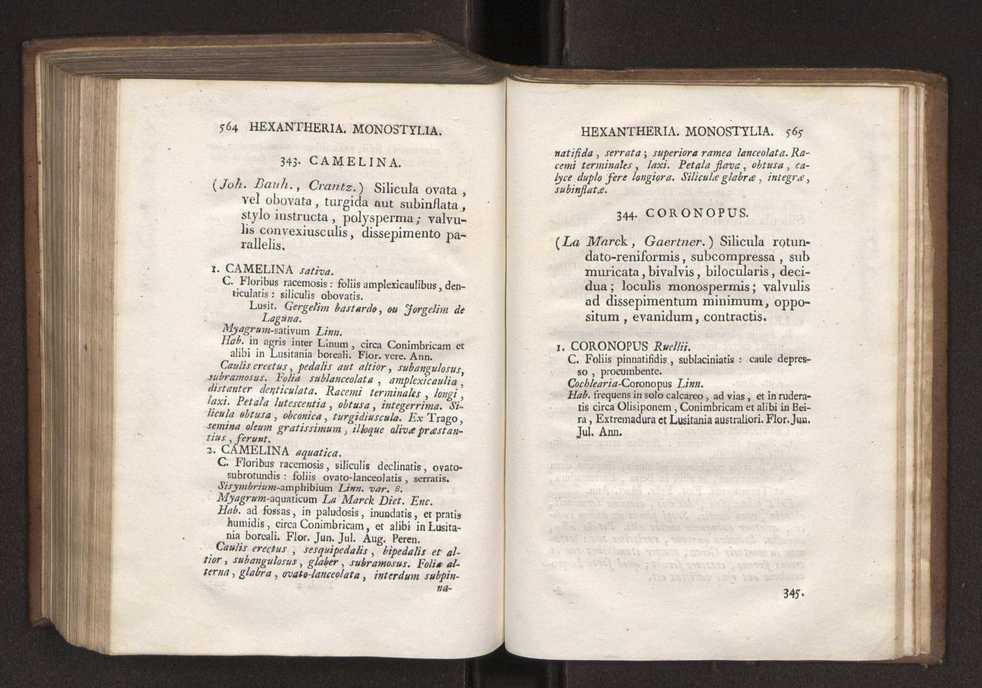 Felicis Avellar Broteri ... Flora Lusitanica, seu plantarum, quae in Lusitania vel sponte crescunt, vel frequentius colunter, ex florum praesertim sexubus systematice distributarum, synopsis. Vol. 1 293