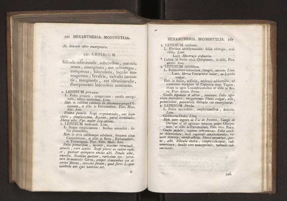 Felicis Avellar Broteri ... Flora Lusitanica, seu plantarum, quae in Lusitania vel sponte crescunt, vel frequentius colunter, ex florum praesertim sexubus systematice distributarum, synopsis. Vol. 1 294