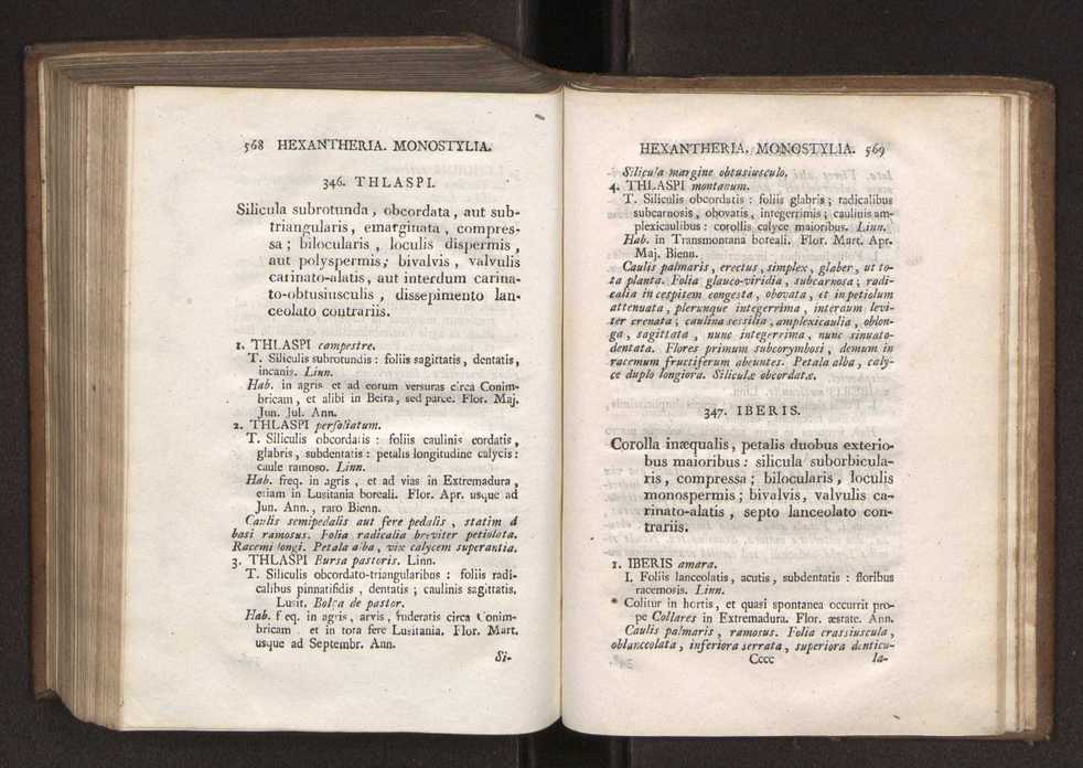Felicis Avellar Broteri ... Flora Lusitanica, seu plantarum, quae in Lusitania vel sponte crescunt, vel frequentius colunter, ex florum praesertim sexubus systematice distributarum, synopsis. Vol. 1 295