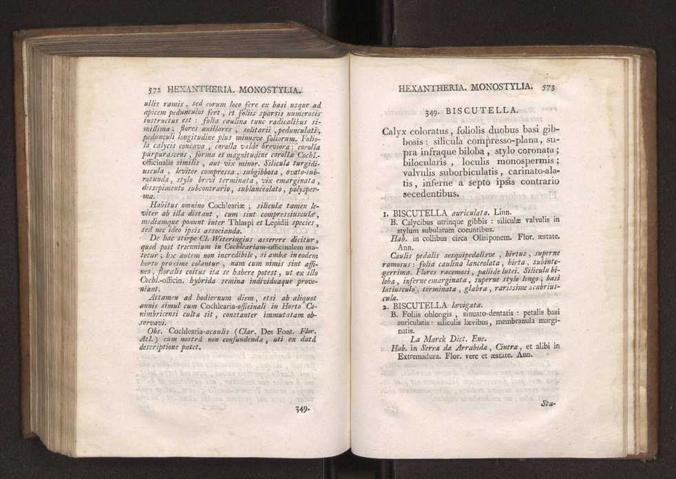 Felicis Avellar Broteri ... Flora Lusitanica, seu plantarum, quae in Lusitania vel sponte crescunt, vel frequentius colunter, ex florum praesertim sexubus systematice distributarum, synopsis. Vol. 1 297