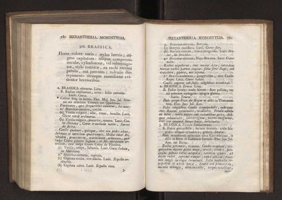 Felicis Avellar Broteri ... Flora Lusitanica, seu plantarum, quae in Lusitania vel sponte crescunt, vel frequentius colunter, ex florum praesertim sexubus systematice distributarum, synopsis. Vol. 1 301