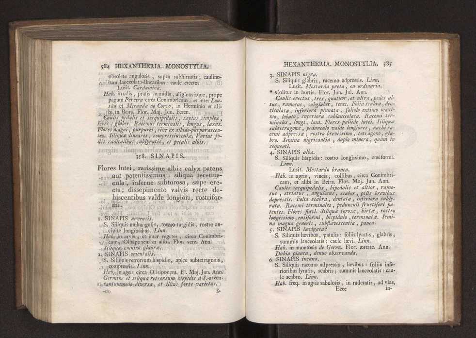 Felicis Avellar Broteri ... Flora Lusitanica, seu plantarum, quae in Lusitania vel sponte crescunt, vel frequentius colunter, ex florum praesertim sexubus systematice distributarum, synopsis. Vol. 1 303